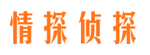 绩溪市私家侦探